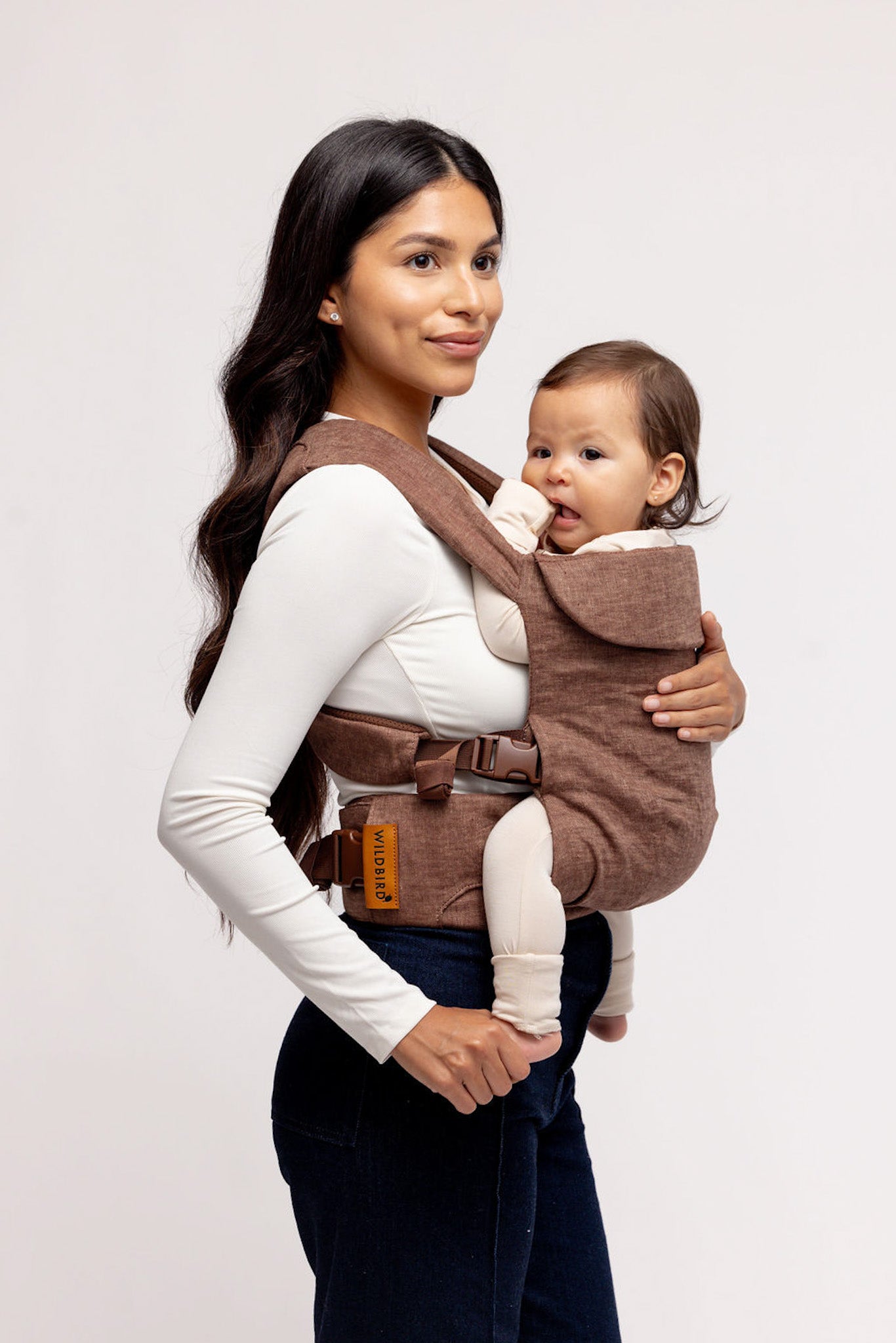 Cormorant - Aerial Carrier - Image 3