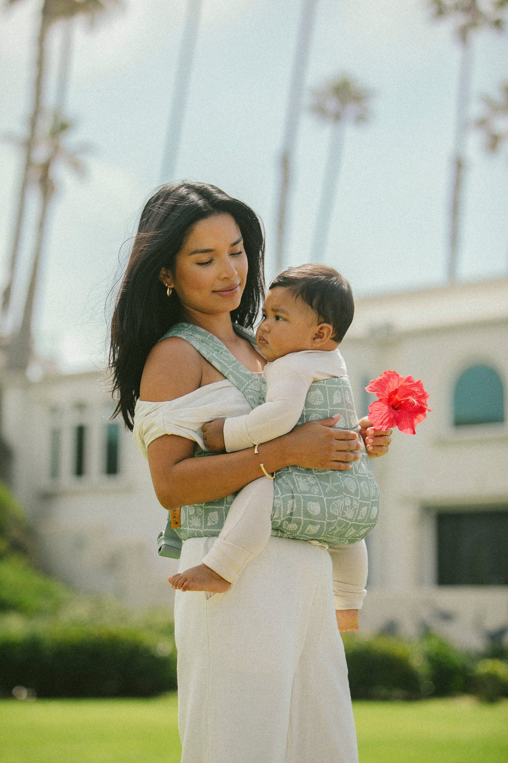 Coastal - Aerial Carrier - Image 2