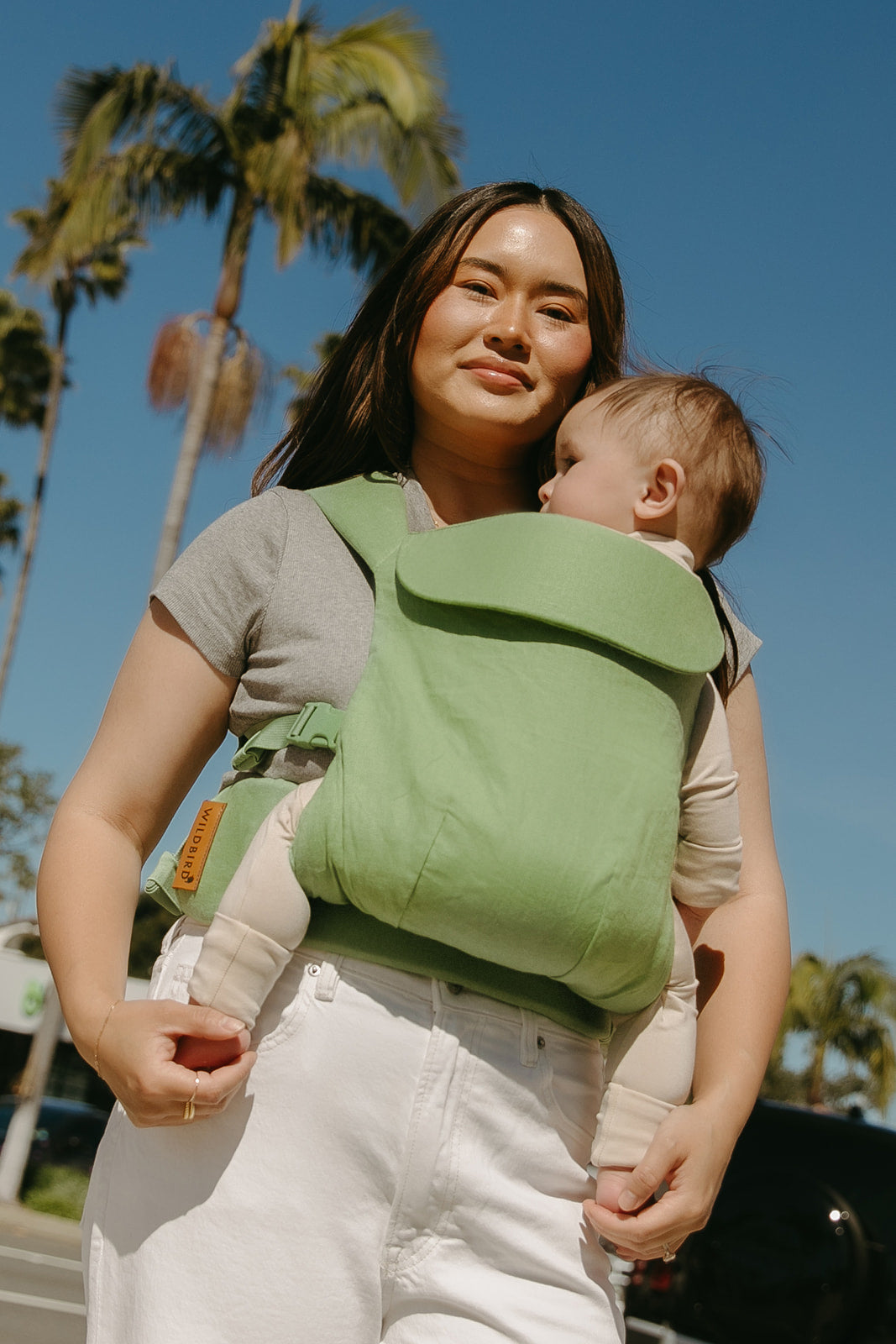 Greenlet - Aerial Carrier - Image 6